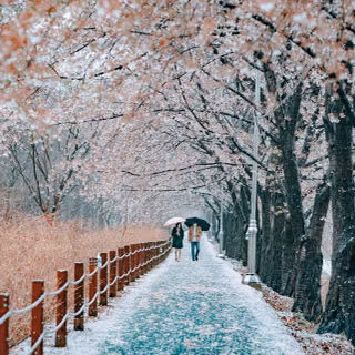 Winter Korean wallpaper
