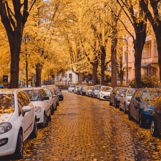 Street view autumn iPhone wallpaper