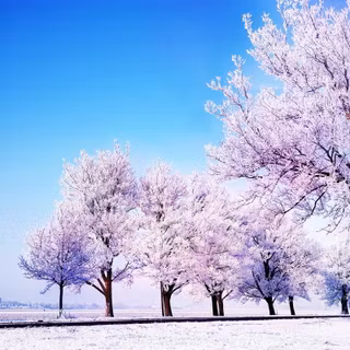 Winter Korean wallpaper