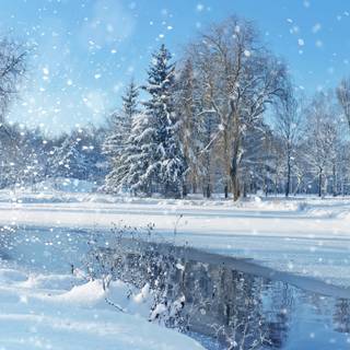 Winter Christmas landscape wallpaper