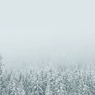 Aesthetic simple winter wallpaper