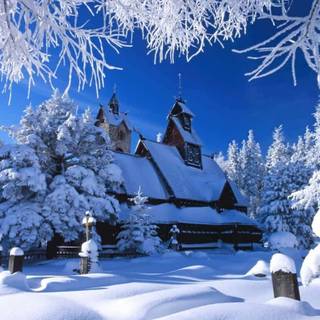 Winter Christmas landscape wallpaper