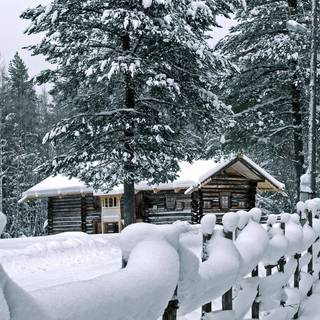 Winter Korean wallpaper