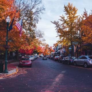 Street view autumn iPhone wallpaper