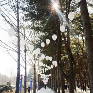 Winter Korean wallpaper