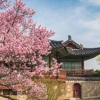 Korean palace wallpaper
