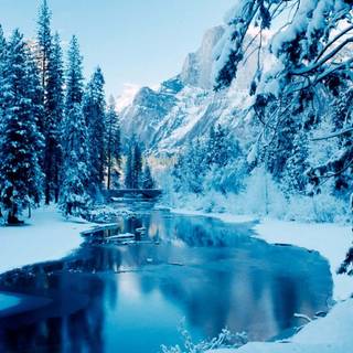 Winter forest river wallpaper