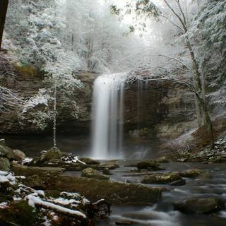 Winter forest river wallpaper