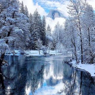 Winter forest river wallpaper