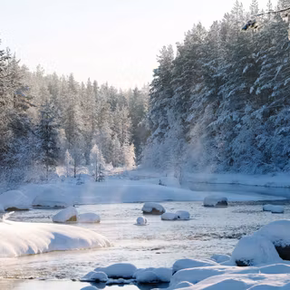 Winter forest river wallpaper