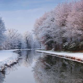 Winter forest river wallpaper