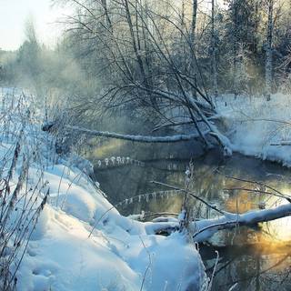 Winter forest river wallpaper