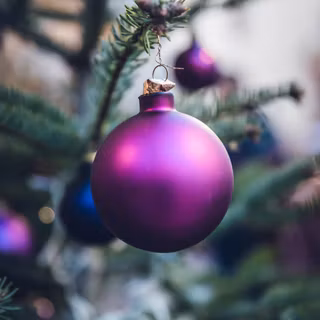 Violet Christmas wallpaper