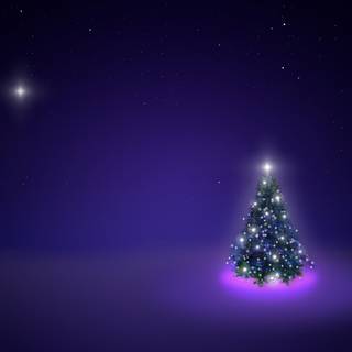 Violet Christmas wallpaper