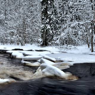 Winter forest river wallpaper