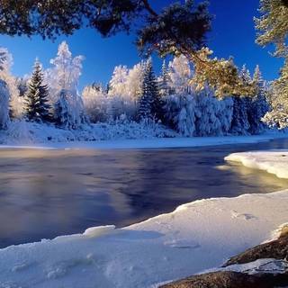 Winter forest river wallpaper