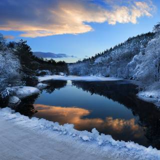 Winter forest river wallpaper