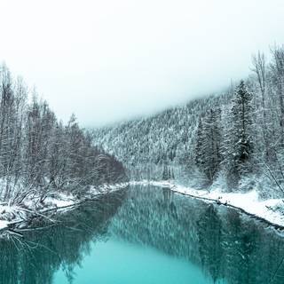 Winter forest river wallpaper