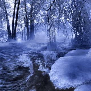 Winter forest river wallpaper