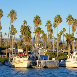 Oxnard wallpaper