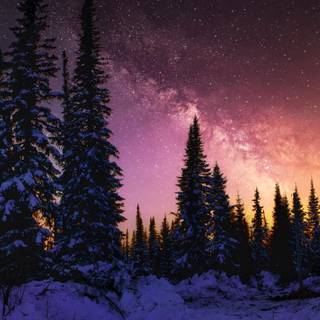 6k winter wallpaper