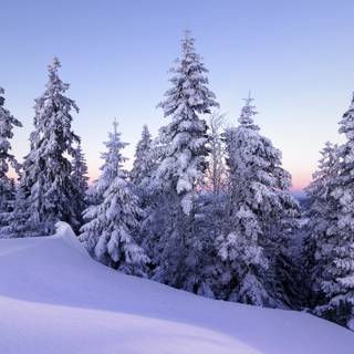 6k winter wallpaper