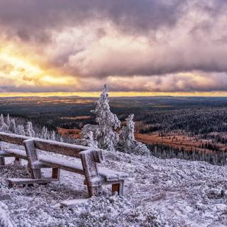 6k winter wallpaper