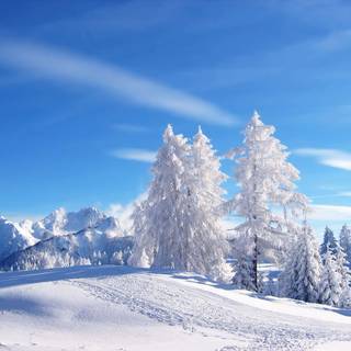 Blue winter scenery wallpaper