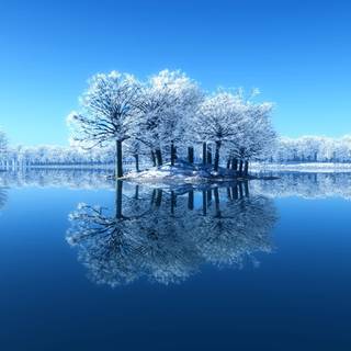 Blue winter scenery wallpaper