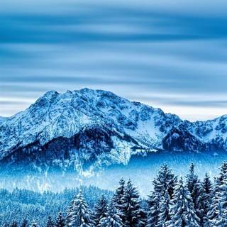 Blue winter scenery wallpaper