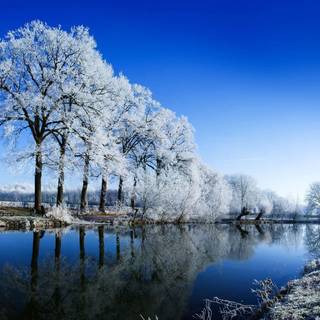 Blue winter landscape wallpaper