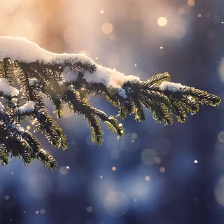 Christmas winter landscape wallpaper