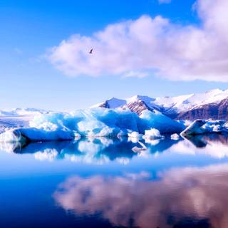 Blue winter landscape wallpaper
