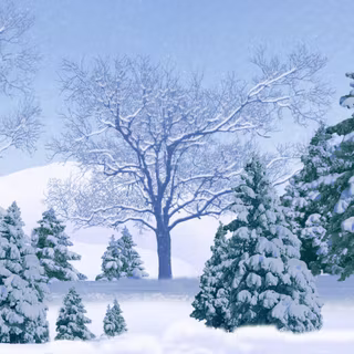 Blue winter scenery wallpaper