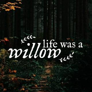 Willow Taylor Swift wallpaper