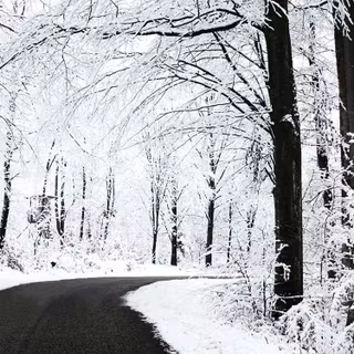 Vintage wood winter wallpaper