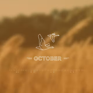Thanksgiving minimalist desktop wallpaper