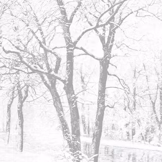 Vintage wood winter wallpaper