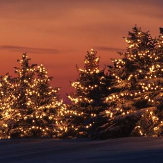 1600x900 Christmas wallpaper