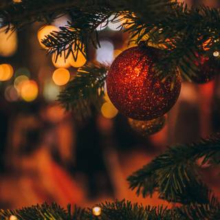 1600x900 Christmas wallpaper