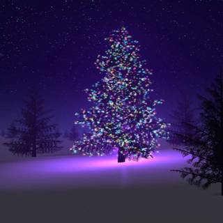 1600x900 Christmas wallpaper