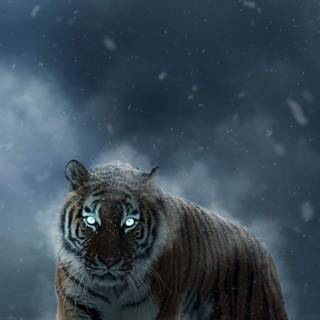 iPhone 4k animal wallpaper
