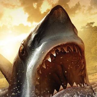 iPhone 4k animal wallpaper