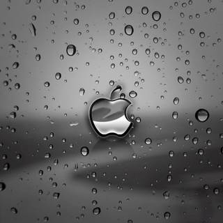 Apple iPad Air 4k wallpaper