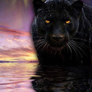 iPhone 4k animal wallpaper