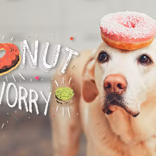 Donuts 4k wallpaper