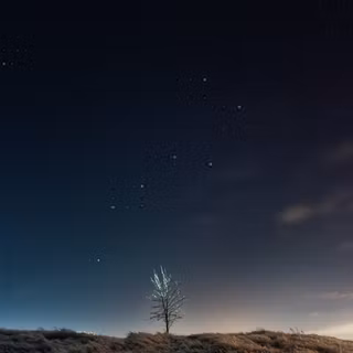Vertical 8k wallpaper