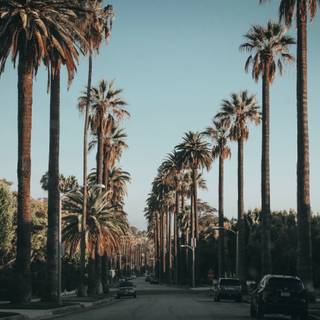Beverly Hills 4k wallpaper