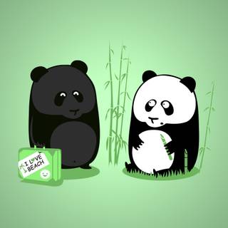 Panda cute 4k wallpaper