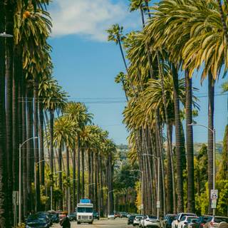 Beverly Hills 4k wallpaper
